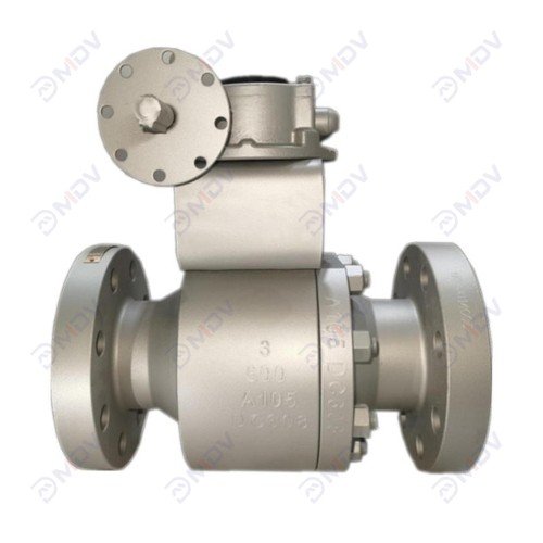 Forged Steel Ball Valve-1