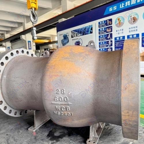 Axial Flow Check Valve