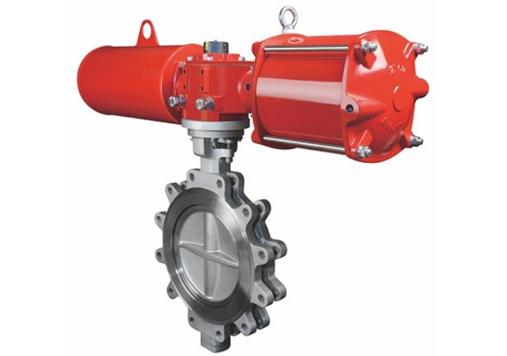 Butterfly Valve-8