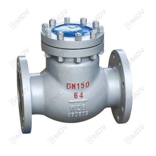 Cast Steel check Valve-2