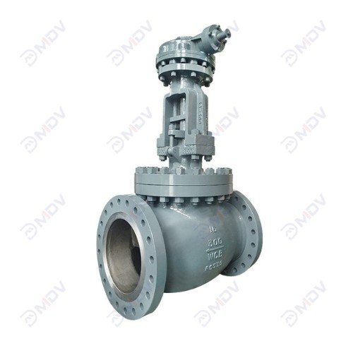 Straight Pattern Globe Valve-1