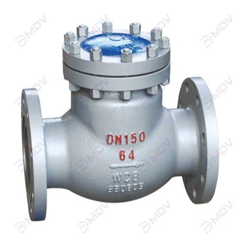 Swing Check Valve-7