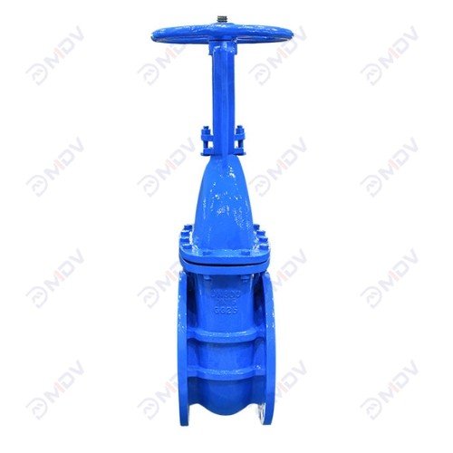 Wedge Gate Valve -2
