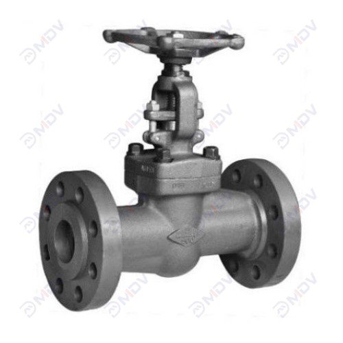 Forged Steel Globe Valve