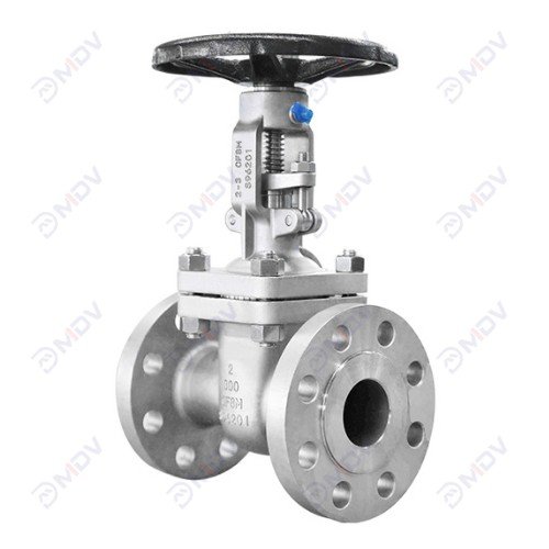 Stainless Steel Gate Valve-1
