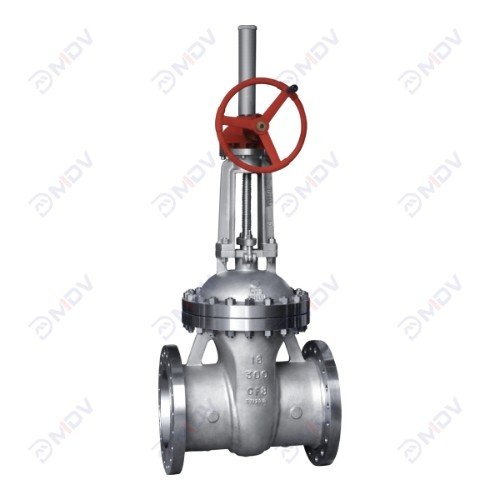 Stainless Steel Gate Valve
