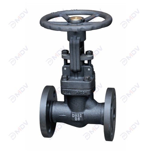 Flanged Globe Valve-2