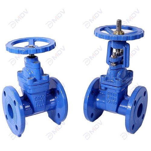 Resilient Seated Gate Valve-1