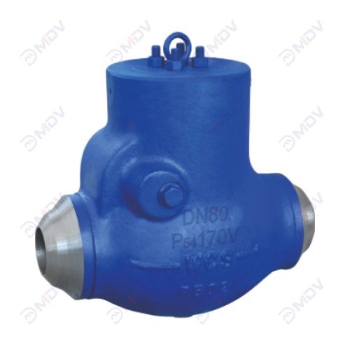 Swing Check Valve-4