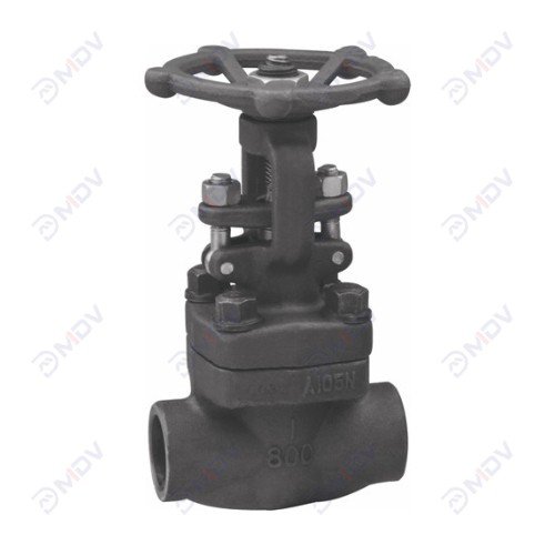 Forged Steel Globe Valve-1