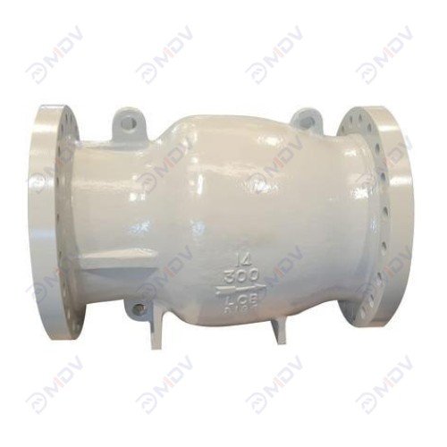 Axial Flow Check Valve-9