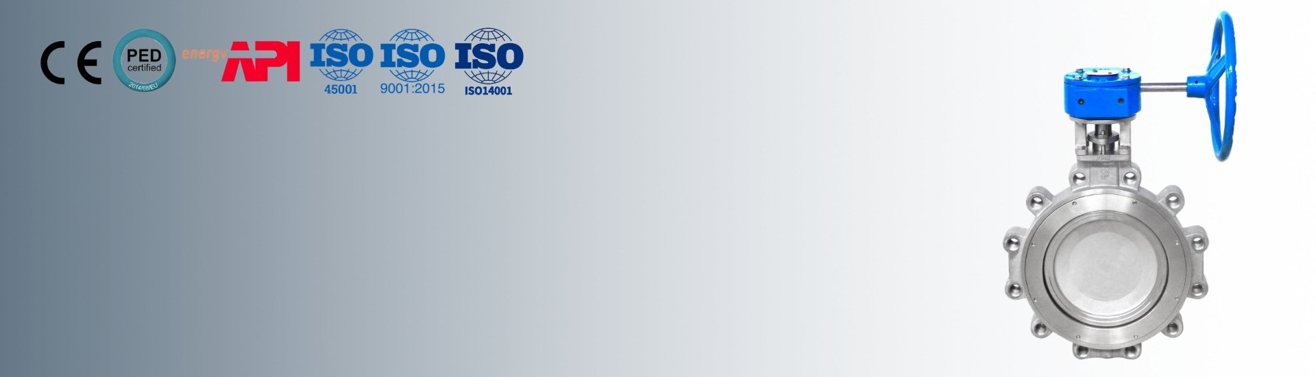 Butterfly Valve Banner