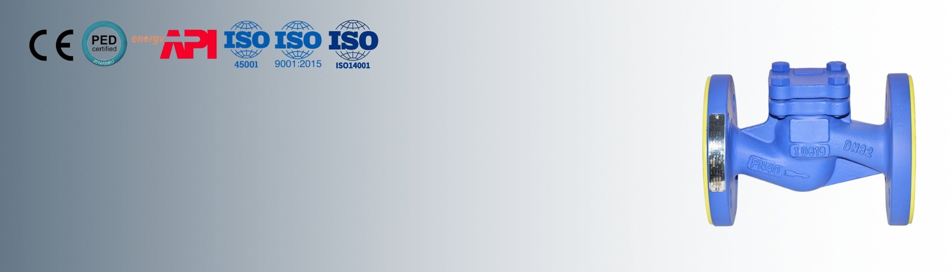 Check Valve Banner