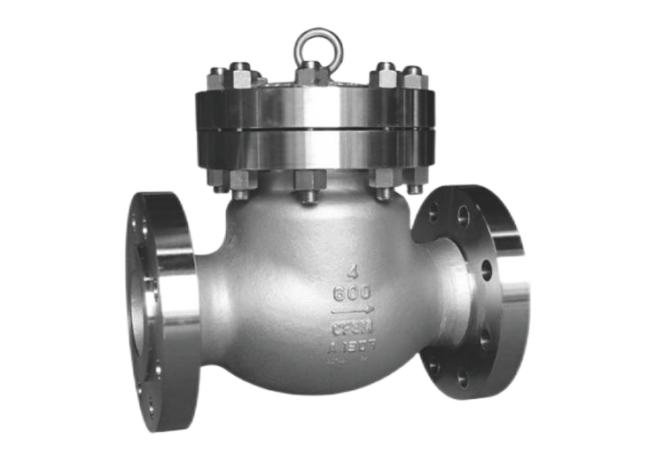 Check Valve-8