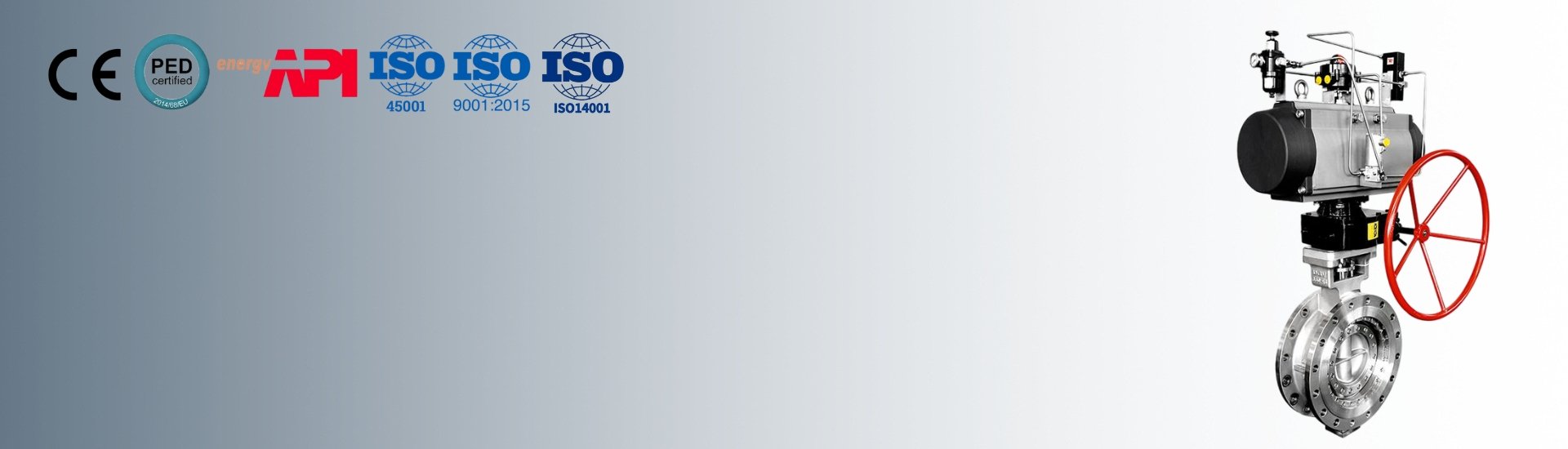 Control valve Banner