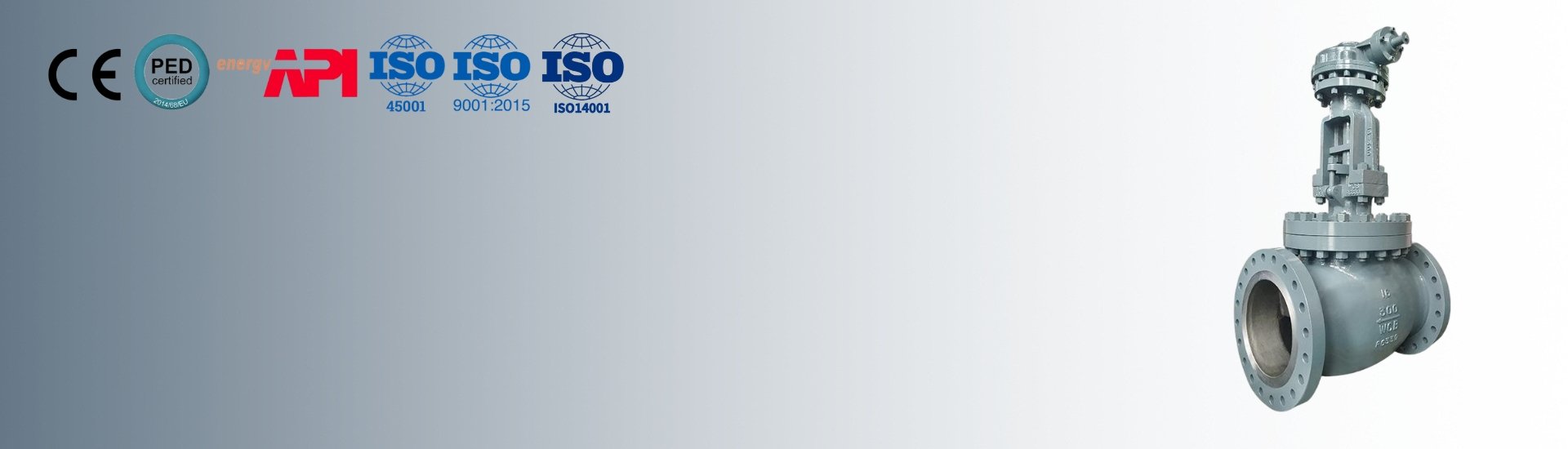 Globe Valve Banner